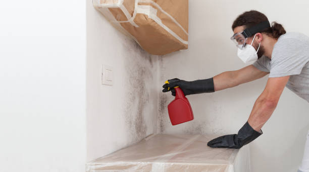 Professional Bathroom Mold Removal technician working in Andover, MN
