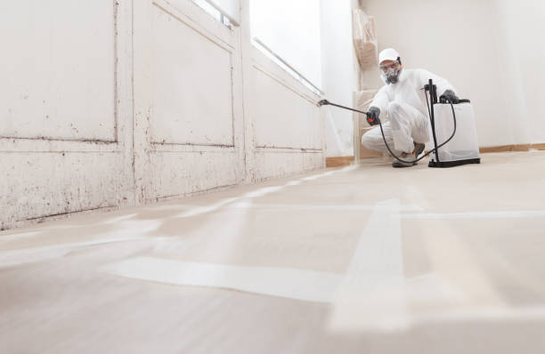 24/7 Emergency Bathroom Mold Removal experts in Andover, MN
