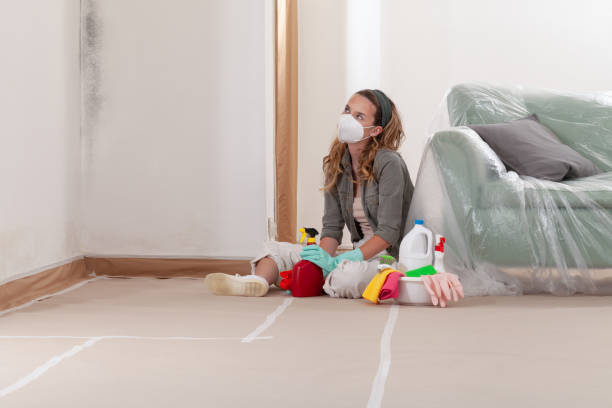 Reliable Bathroom Mold Removal contractor in Andover, MN by Car Mold Remediation