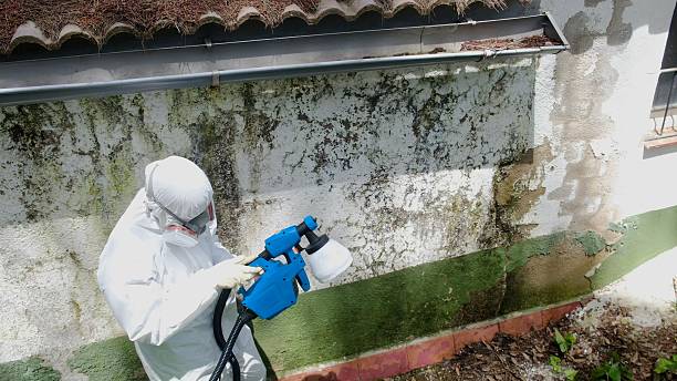 Top rated local Bathroom Mold Removal specialists in Andover, MN